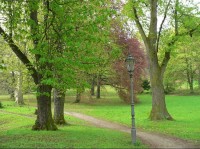 Zámecký park