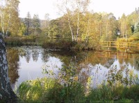 Rybník uprostřed obce