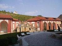 Pohled na vinici od Trojského zámku