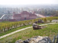 Pohled z vinice na Trojský zámek
