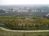 Pohled z vinice na park Trojského zámku