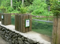 Venkovní akvárium: V současnosti bohužel bez ryb, neboť jim na ně chodí nějaká vydra zvenčí :)