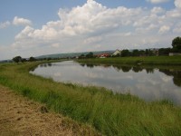 Řeka Morava u obce Kostelany, okr. Uherské Hradiště.
