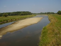 V suchém létu 2008 ukázala řeka Morava ostrov u Brodského.