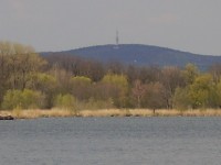 Pohled na vrch Babí lom přes Jarohněvický rybník