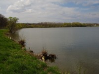 Jarohněvický rybník u Dubňan