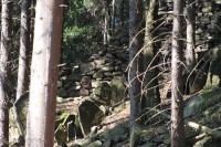 Hasištejn - zřícenina: Pod zříceninou v lese je možné vidět i zbytky původních hradeb