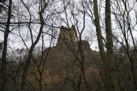 Zřícenina hradu Týřov: Brzy na jaře je zřícenina vidět i mezi stromy bez listí.