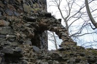 Zřícenina hradu Týřov: Zbytky zdí