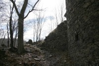 Zřícenina hradu Týřov: Zřícené zdi