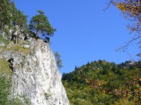 Kvačianská dolina: Národní přírodní rezervace Kvačinaská dolina, jejíž součástí je i Borovianka, byla vyhlášená v roce 1967. 
Nachází se v k. ú. Veĺkého Borového, Kvačian a Dlhej Lúky a její současná rozloha je 461,79 ha.