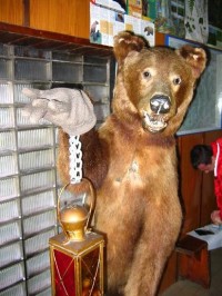 Chata Prášivá: Medvěd v horské chatě Prášivá