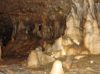 Sloupsko-šošůvské jeskyně: Sloupsko-šošůvské jeskyně krápníková výzdoba