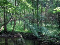 Moravský kras: Chráněná přírodní oblast Moravský kras