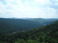 z rozhledny: hluboké údolí řeky Teplé se Slavkovským lesem