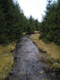 Flájský potok: Jeden z hlavních přítoků vodní nádrže. Zde vyfocen nedaleko bývalého Vilejšova z lávky na červené značce.
