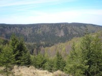 údolí: Pohled na severní (německou) stranu Načetínského údolí z vrchu Homole