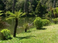 Na břehu jezírka, Gramado