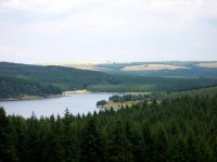 Pohled na přehradu z obory: Pohled na přehradu z obory