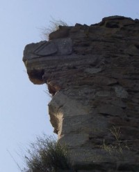 Otaslavice: Detail erbu pánů z Kunštátu na věži.