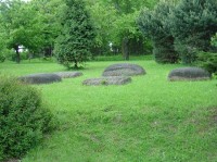 Hořice v Podkrkonoší: přírodní galerie