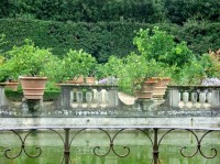 Florencie: zahrada Boboli