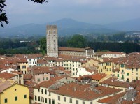 Lucca: pohled z věže Guinigi