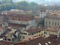 Lucca: pohled z věže Guinigi