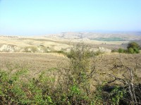 Crete Senesi