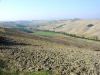 Crete Senesi