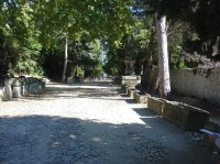 Arles: Les Alyscamps