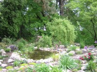 Botanická zahrada v Táboře