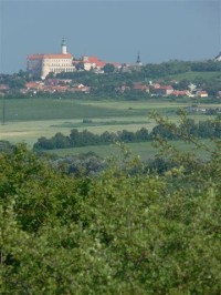 Mikulovský zámek: Pohled na zámek v Mikulově z lokality "Skalky" a Paví kopec" nad Sedlecem. 