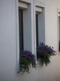 Poustka - rozkvetlá okna