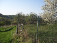 Poustka - cesta jarní přírodou