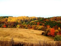 Poustka - okolní příroda na podzim