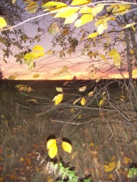 Poustka - podzimní příroda při západu slunce