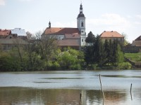 Mlýnský rybník, v pozadí kostel sv. Petra a Pavla
