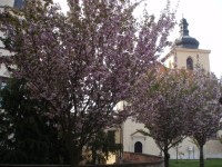 Kaple sv. Vojtěcha na jaře