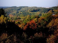 Podzimní pohled na okolní krajinu: Barevné černé lesy...