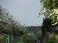Kostelec nad Černými lesy: Na jaře...