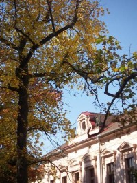 Kostelec nad Černými lesy: Detail radnice na podzim.
