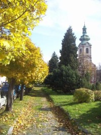 Kostelec nad Černými lesy: Na podzim - v pozadí kostel sv. Andělů strážných.