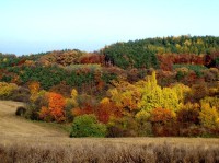 Černé lesy na podzim