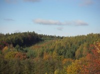 Černé lesy na podzim: Černé lesy na podzim hrají všemi barvami.