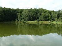 Černé Voděrady - rybník