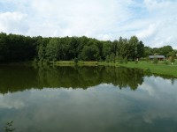 Černé Voděrady - rybník