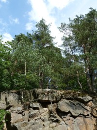 Voděradské bučiny - národní přírodní rezervace