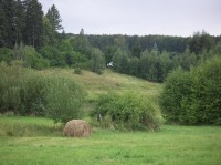 Příroda na Vyžlovce