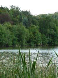 Jevanský rybník